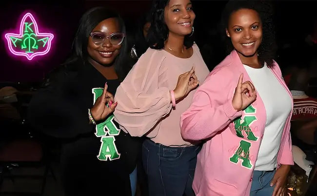 Neonvue AKA Pink Neon SignDetail 1